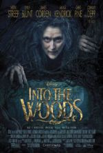 Watch Into the Woods Vodlocker