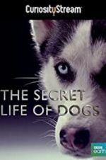 Watch Secret Life of Dogs Vodlocker