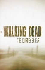 Watch The Walking Dead: The Journey So Far Vodlocker