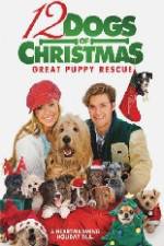Watch 12 Dogs of Christmas Great Puppy Rescue Vodlocker