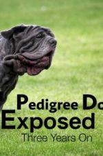 Watch Pedigree Dogs Exposed, Three Years On Vodlocker