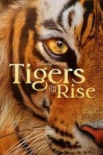 Watch Tigers on the Rise Vodlocker