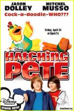 Watch Hatching Pete Vodlocker