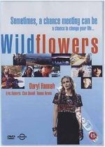 Watch Wildflowers Vodlocker