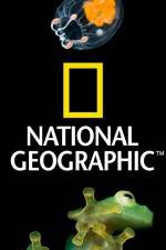 Watch National Geographic Wild Dam Beavers Vodlocker