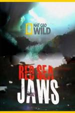 Watch National Geographic Red Sea Jaws Vodlocker