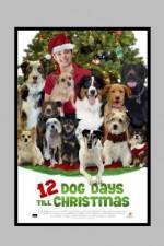 Watch 12 Dog Days of Christmas Vodlocker