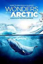 Watch Wonders of the Arctic 3D Vodlocker