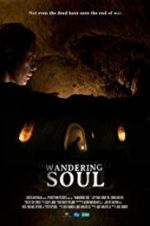 Watch Wandering Soul Vodlocker
