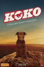 Watch Koko: A Red Dog Story Vodlocker