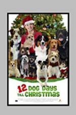 Watch 12 Dog Days Till Christmas Online Vodlocker