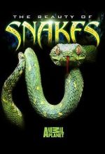 Watch Beauty of Snakes Primewire