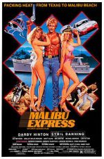 Watch Malibu Express Online Vodlocker