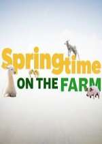 Watch Vodlocker Springtime on the Farm Online