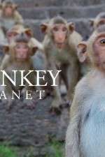 Watch Monkey Planet Vodlocker