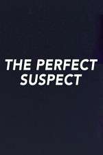 Watch The Perfect Suspect Vodlocker
