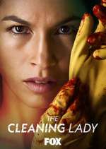 Watch Vodlocker The Cleaning Lady Online
