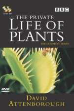 Watch The Private Life of Plants Vodlocker