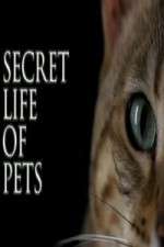 Watch The Secret Life of Pets Vodlocker