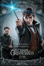 Watch Fantastic Beasts: The Crimes of Grindelwald Vodlocker