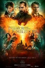 Watch Fantastic Beasts: The Secrets of Dumbledore Vodlocker