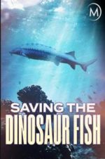 Watch Saving the Dinosaur Fish Vodlocker