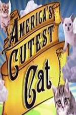 Watch America's Cutest Cat Vodlocker