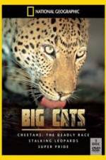 Watch National Geographic: Living With Big Cats Vodlocker