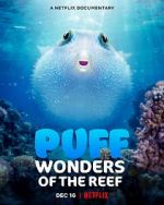 Watch Puff: Wonders of the Reef Vodlocker