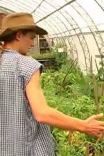 Watch Green House Seeds Strain Hunters India Expedition Vodlocker