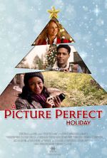 Watch A Picture Perfect Holiday Vodlocker