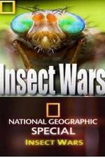 Watch National Geographic Insect Wars Vodlocker