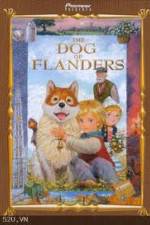 Watch The Dog of Flanders Vodlocker