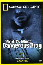 Watch Worlds Most Dangerous Drug Vodlocker