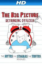 Watch The Big Picture Rethinking Dyslexia Vodlocker