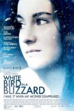 Watch White Bird in a Blizzard Vodlocker