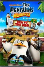 Watch Penguins of Madagascar New to the Zoo Vodlocker