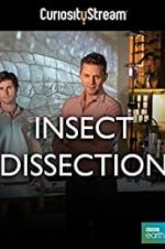 Watch Insect Dissection: How Insects Work Vodlocker