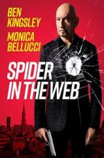 Watch Spider in the Web Vodlocker