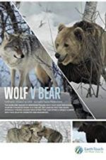 Watch Wolf vs Bear Vodlocker