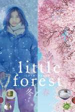 Watch Little Forest: Winter/Spring Vodlocker