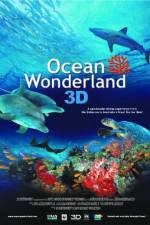 Watch Ocean Wonderland Vodlocker