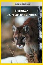 Watch National Geographic Puma: Lion of the Andes Vodlocker