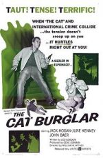 Watch The Cat Burglar Vodlocker