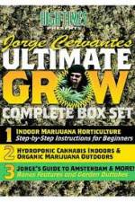 Watch Jorge Cervantes Ultimate Grow Complete Box Set Vodlocker