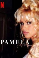 Watch Pamela, a Love Story Vodlocker