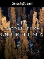 Watch Life 2,000 Meters Under the Sea Vodlocker