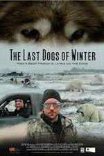Watch The Last Dogs of Winter Vodlocker
