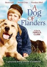 Watch A Dog of Flanders Vodlocker