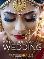 Watch My Big Bollywood Wedding Online Vodlocker